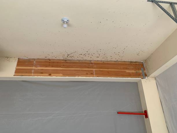 Best Post-Remediation Verification Testing  in Bowdon, GA